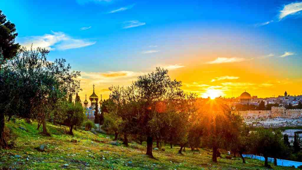 viaje al mpnte de los olivos