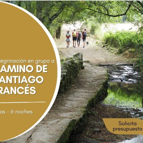 Camino de Santiago Frances